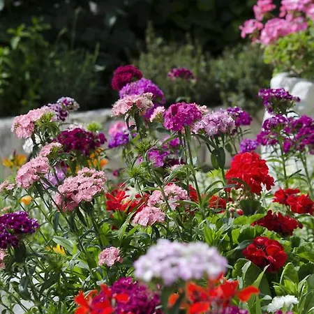 Jolic * Brodarica (Sibenik-Knin)