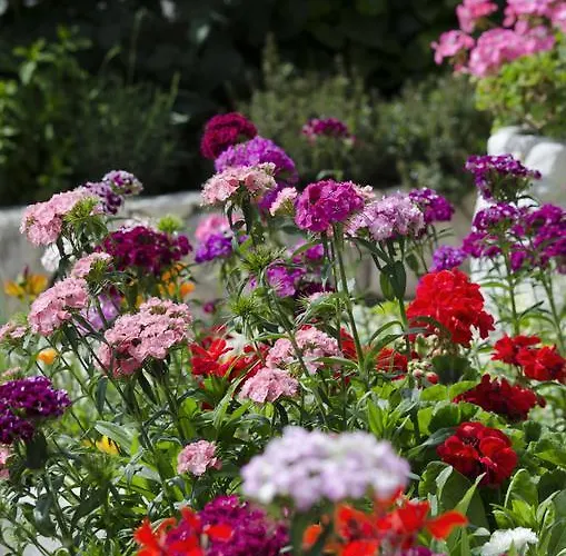 Jolic * Brodarica (Sibenik-Knin)